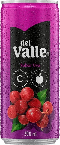 Néctar Del Valle Uva Lata Sleek 290 ml